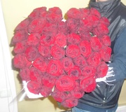Сердце 55 красных роз 70 см